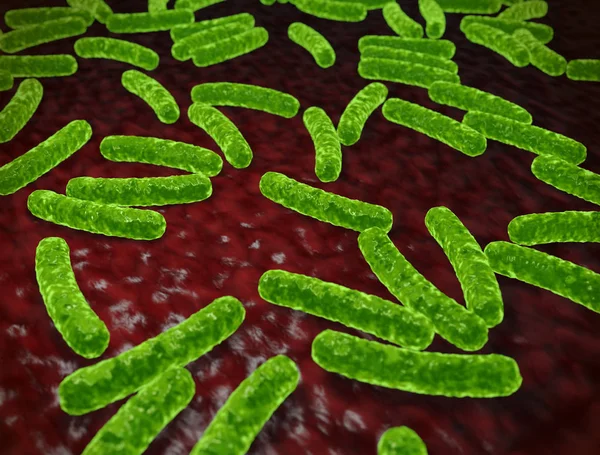 Абстрактные Зеленые Бактерии Медицинское Образование Рендеринг — стоковое фото
