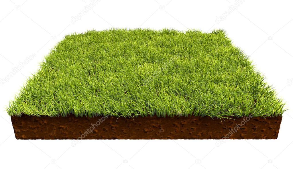 Square piece of land with green grass isolated on white background. 3D illustration.