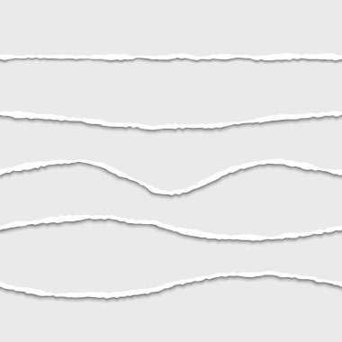 Yırtık kağıt kenar sorunsuz bölücüler vektör set.