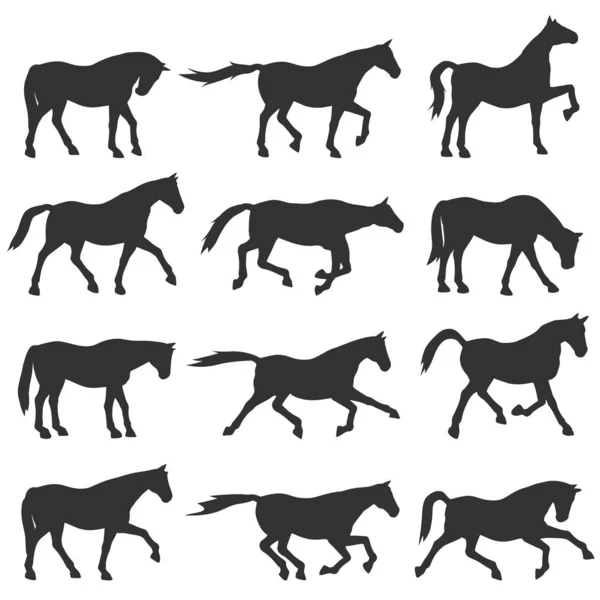 Set silhouette cavallo . — Vettoriale Stock