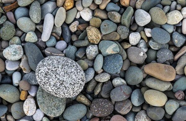Fundo com diferentes pedras de cor do mar — Fotografia de Stock