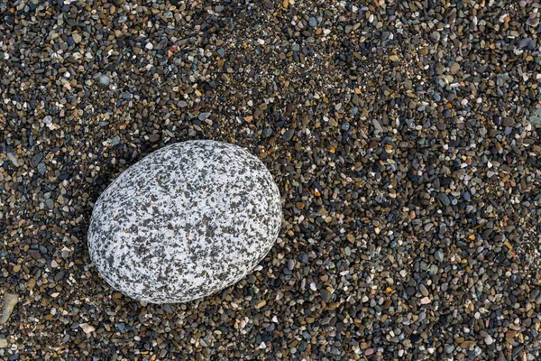 Háttér különböző színű tengeri kövek — Stock Fotó