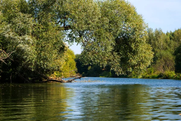 Autumn evening landscape with the river and a beautiful tree — Stock Photo, Image