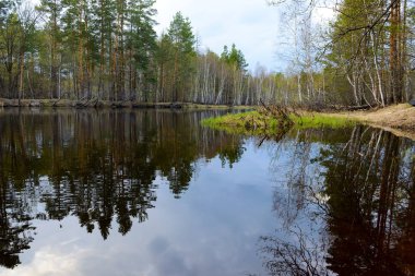 Sonbahar akşam manzara nehir ve güzel bir ağaç