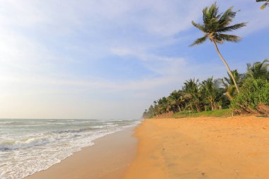 Tropikal okyanus plaj Sri Lanka