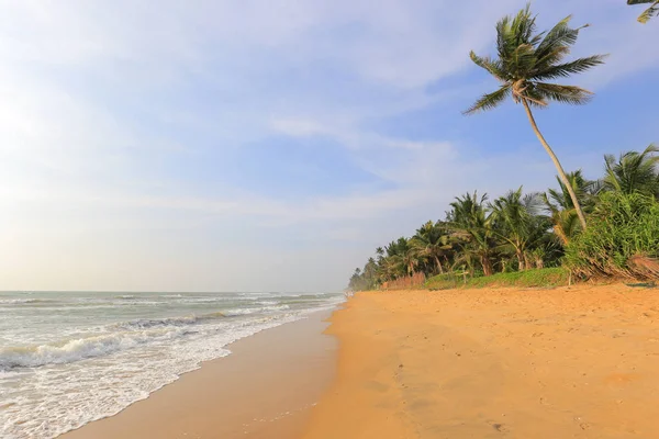 Spiaggia Tropicale Dell Oceano Sri Lanka — Foto Stock