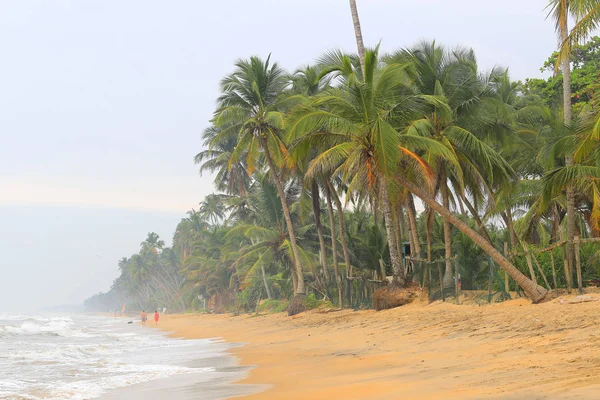 Spiaggia Sri Lanka — Foto Stock