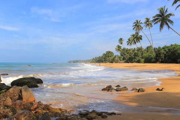 Spiaggia Tropicale Selvaggia Nello Sri Lanka Spiaggia Bentota — Foto Stock