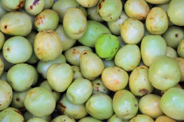 Background of green plums
