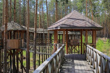 Ormandaki ağaçlı eski ahşap köprü