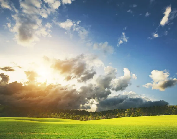 Grey Stormy Clouds Green Field — Stock Photo, Image