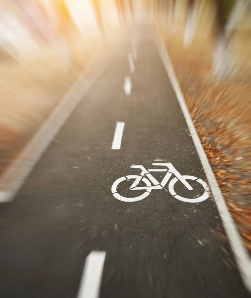 Aszfalt Kerékpárút Reggel Városban — Stock Fotó