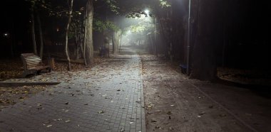 Sonbahar parkında sisli bir akşam.