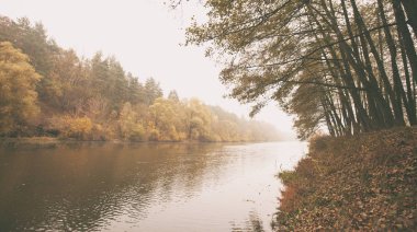Ormanın yakınındaki nehir kıyısında güzel bir sonbahar
