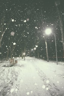 Ağaçları ile yalnız kış park 