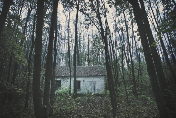 The one abandoned brick house in the autumn forest — Stock Photo, Image