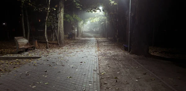 La notte nebbiosa nel parco autunnale — Foto Stock