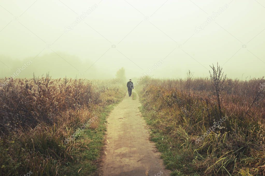 The  man is walking through the country road in the meadow in th
