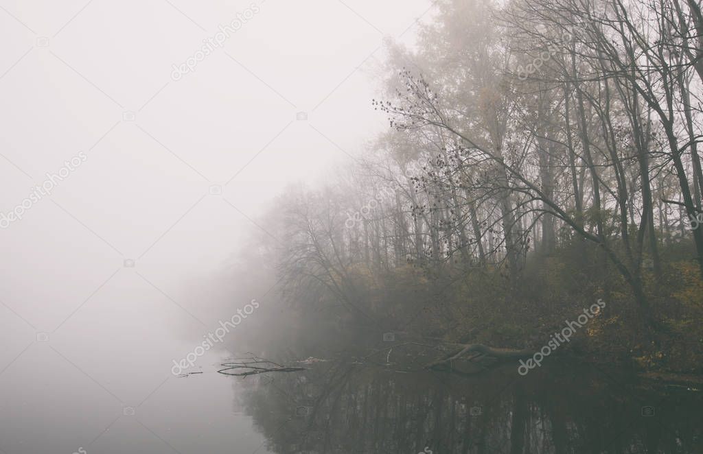 The thick fog over the lake in the morning