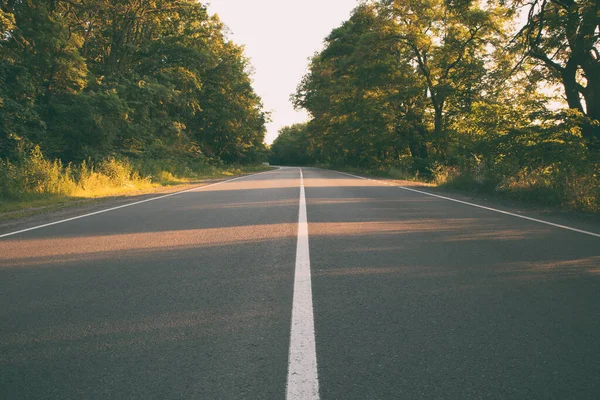 Camino Asfalto Vacío Bosque Por Noche — Foto de Stock