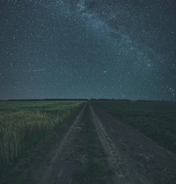 Die Sternenklare Nacht Auf Dem Feld — Stockfoto