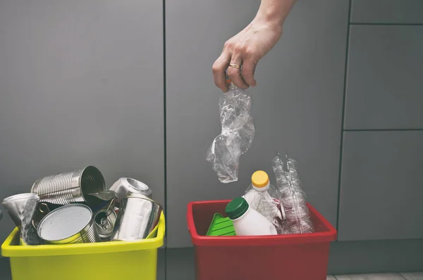 Műanyag Flakont Dob Négy Konténer Egyikére Vagy Szemetet Rendez — Stock Fotó