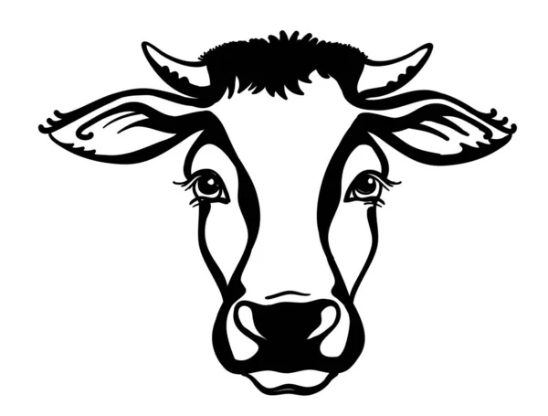 Kráví Hlava Farmářské Zvíře Vektorová Černá Grafická Ilustrace Izolovaná Bílé — Stockový vektor