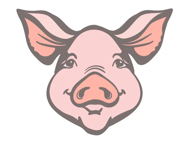Pig Head Farm Animal Vector Color Graphic Illustration Pig Face — Stock Vector