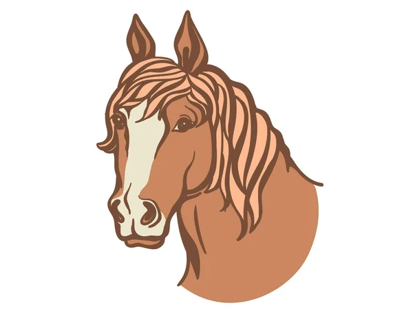 Cabeza Caballo Ilustración Color Vectorial Caballo Rojo Aislado Blanco — Archivo Imágenes Vectoriales