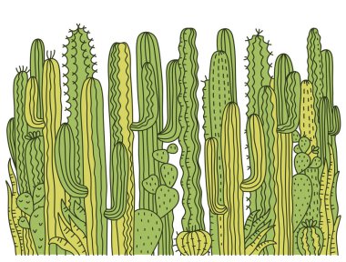 Kaktüslerin arka planı. Beyaz üzerine izole edilmiş tasarım için yeşil sulu vektör el çizimi.