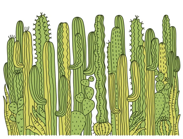 Cactuses Background Green Succulent Vector Hand Drawn Illustration Design Isolated — Stock Vector