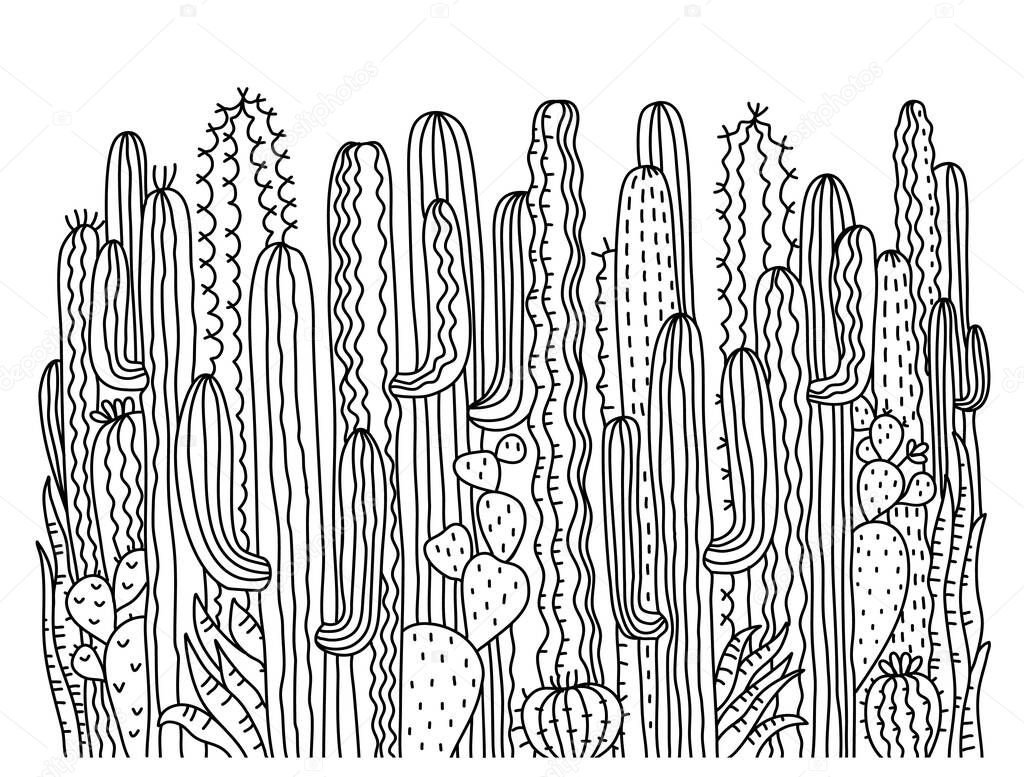 Cactuses background. Succulent vector hand drawn illustration for design isolated on white.