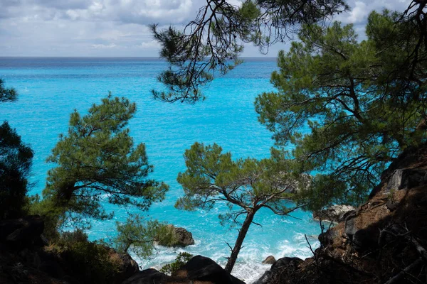 View Mediterranean Sea Pine Trees Turkey — Stock Photo, Image