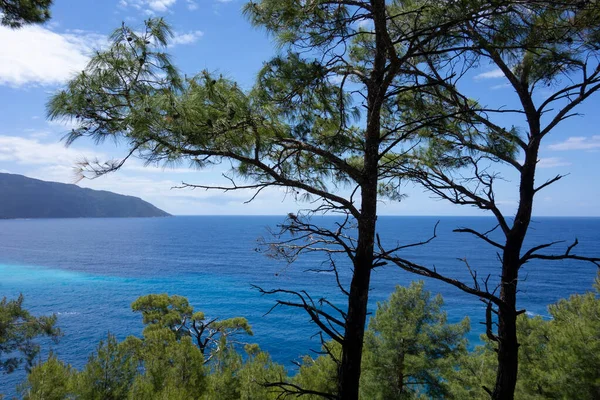トルコの松の木を通して地中海の景色 — ストック写真