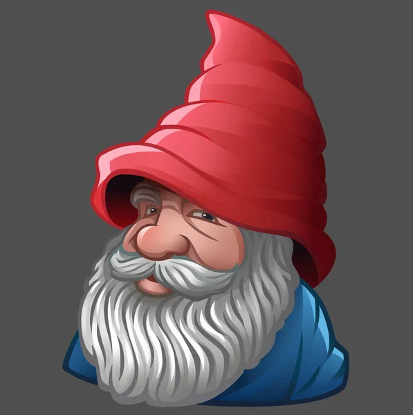 GNOME z brodą i czerwonym kapeluszem — Wektor stockowy