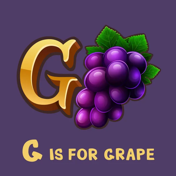 Детский алфавит буква G и виноград — стоковый вектор