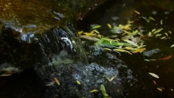 Städtischen Brunnen, schnelle Wasserfluss. — Stockvideo