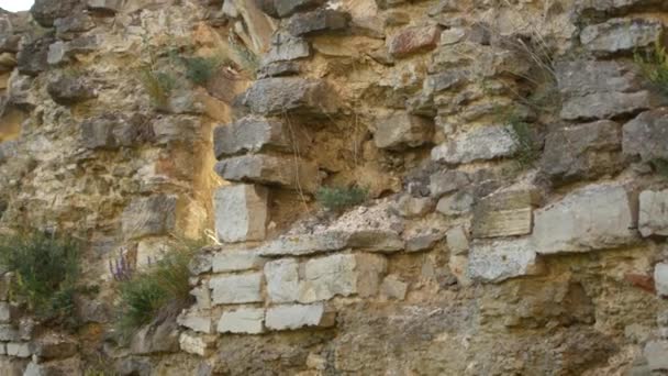 Stary kamienny mur w zabytkowym zamku — Wideo stockowe