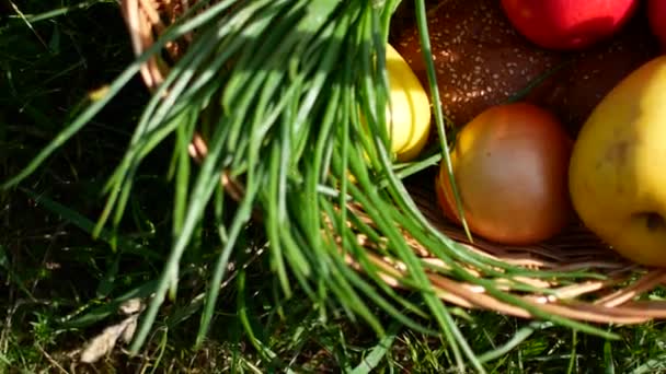 Products in a picnic basket — Stock Video