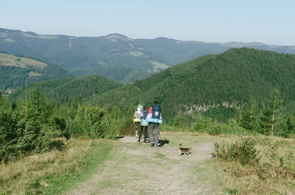 yeşil tepelerin dağ manzarası