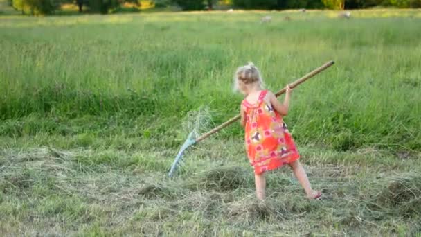 Lycklig liten flicka med räfsa på landsbygden på en sommardag — Stockvideo