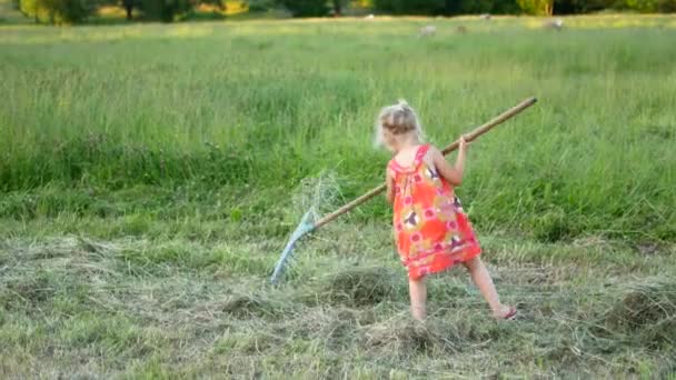 Niña feliz con rastrillo en el campo en un día de verano — Vídeos de Stock