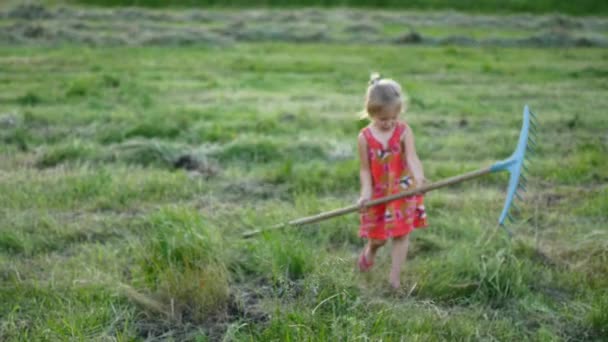 Heureuse petite fille avec râteau à la campagne un jour d'été — Video