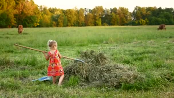 Счастливая маленькая девочка с рэйком на природе в летний день — стоковое видео