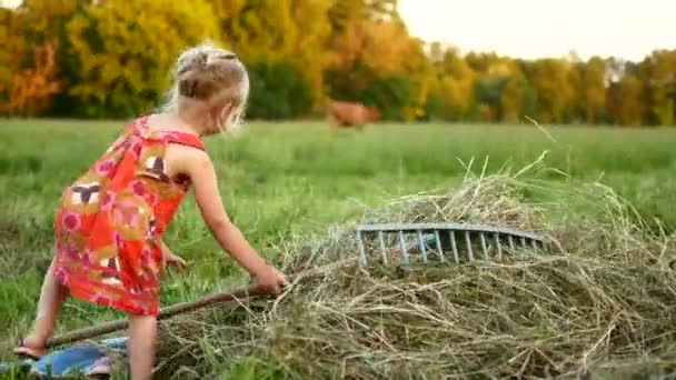 Felice bambina con rastrello in campagna in una giornata estiva — Video Stock