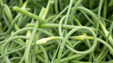 Frenk soğanı çiçek, sarımsak chives