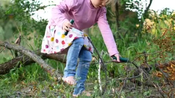 Una niña preescolar con una sierra turística en las manos trata de cortar madera en el bosque — Vídeos de Stock
