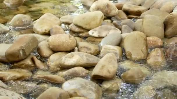 Water flows around balanced stones in flowing river — Stock Video