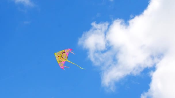 Χαρταετό με πολύχρωμες ουρές. Πολύχρωμα φωτεινά kite χαρούμενα φτερουγίσματα ενάντια στον ουρανό. — Αρχείο Βίντεο