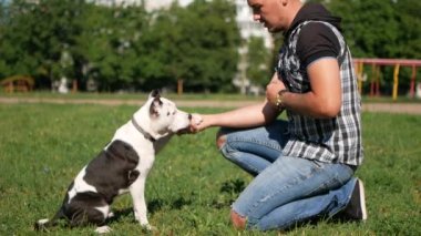 Köpek park, yavaş yürüyen